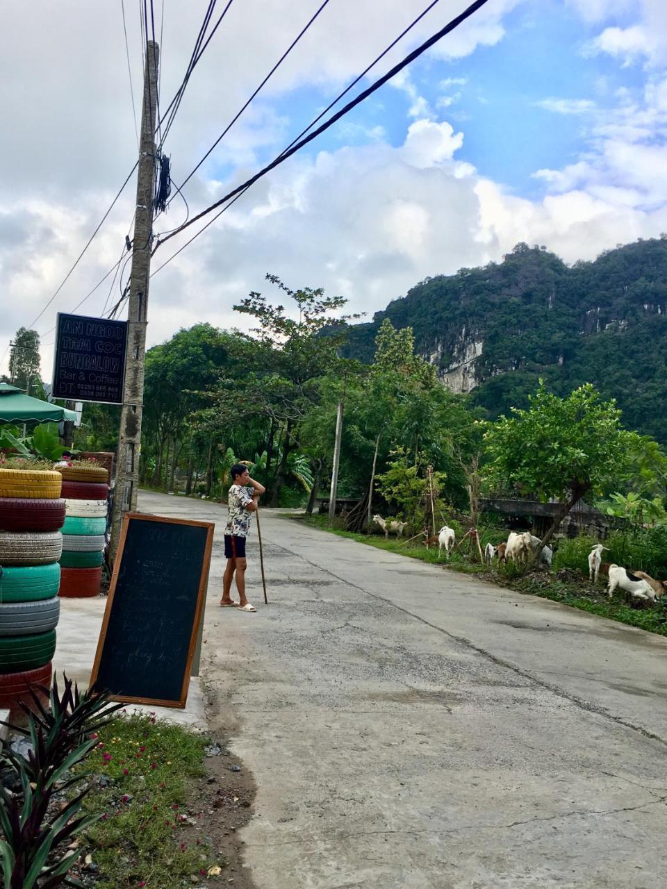 An Ngoc Tam Coc Bungalow Ninh Binh Exterior foto